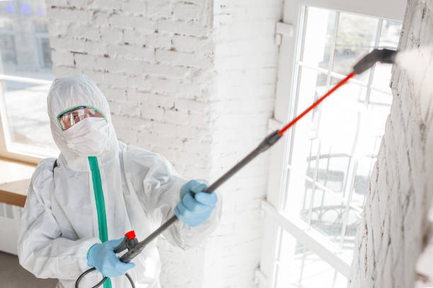 Best Health and Safety Mold Remediation in USA